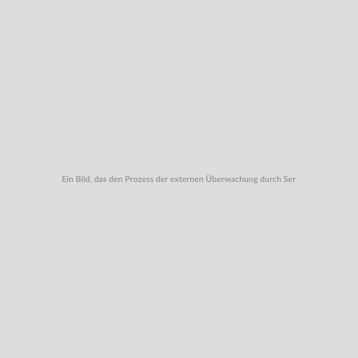Ein Bild, das den Prozess der externen Überwachung durch Serverguard24.de darstellt, einschließlich eines Servers und eines Benutzers, der die Überwachungsdaten auf einem Laptop überprüft.